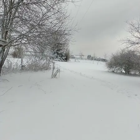 Le P'tit D'enhet Daire Ciney