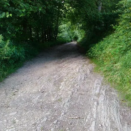 Le P'tit D'enhet * Ciney